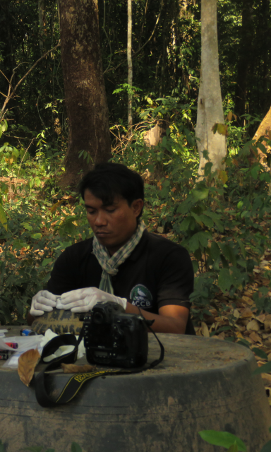 Chao Lengthol, Field Conservation Coordinator
